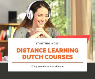 Dutch Online Courses